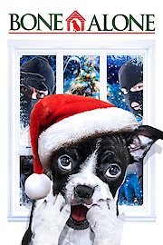 Alone For Christmas poster