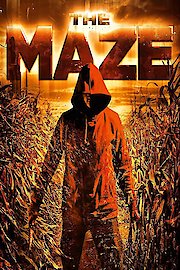 The Maze poster