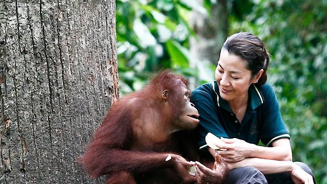 Watch Among the Great Apes with Michelle Yeoh Online