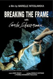 Breaking The Frame poster