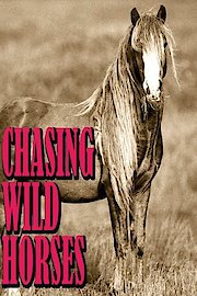 Chasing Wild Horses poster