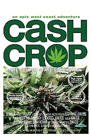 Cash Crop poster