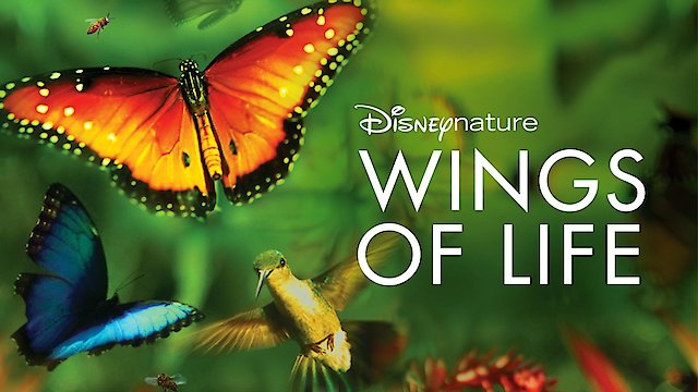 Watch DisneyNature: Wings of Life Online