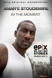 Amar'e Stoudemire: In the Moment poster
