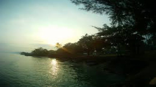 Watch Cosmos Global Documentaries: Sunda Online