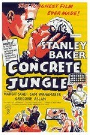 The Criminal poster