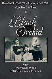 Black Orchid poster