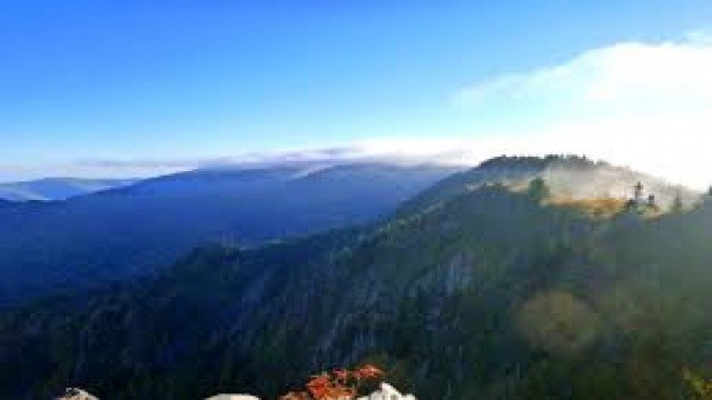 Watch Appalachia - The Endless Forest Online