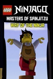 LEGO Ninjago: Masters of Spinjitzu: Way of the Ninja poster