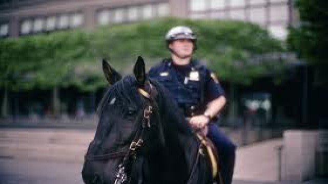 Watch NYPD Mounted Online