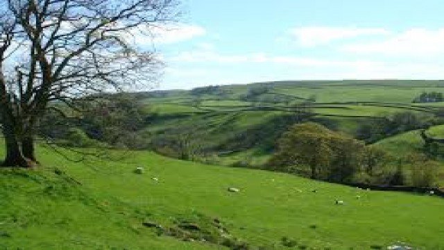 Watch Yorkshire Dales: A Landscape of Longing Online