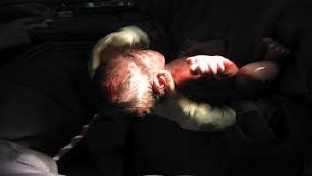 Watch Wonders of God's Creations: Human Life Online