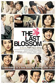 The Last Blossom poster