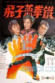The Fists Of Vengeance poster