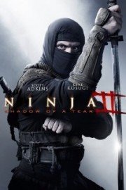 Ninja 2 poster