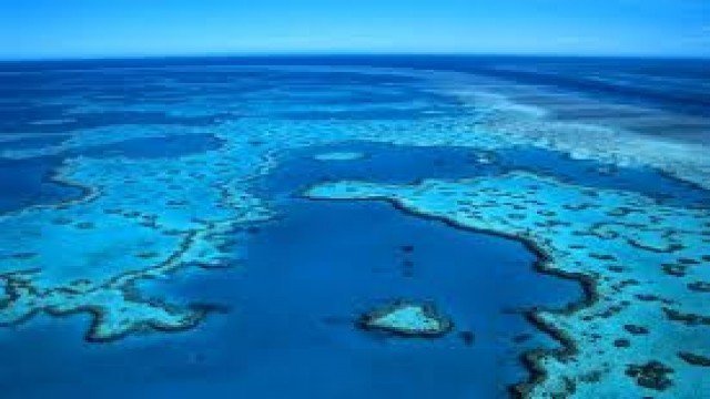 Watch Travel Wild: The Great Barrier Reef Online