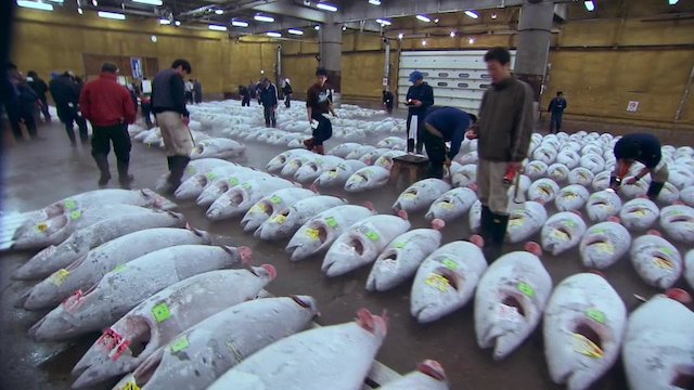 Watch Sushi: The Global Catch Online