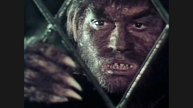 Watch The Fury of the Wolfman Online