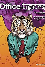 Office Tigers poster