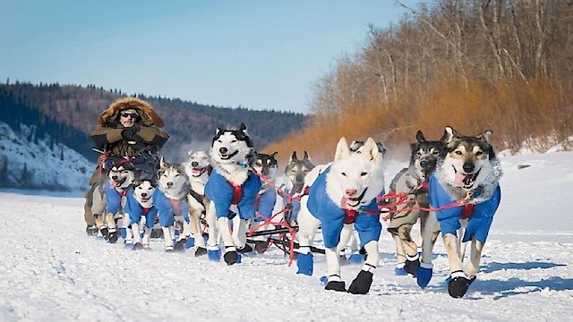 Watch Siberian Odyssey Online