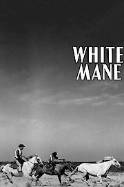 White Mane