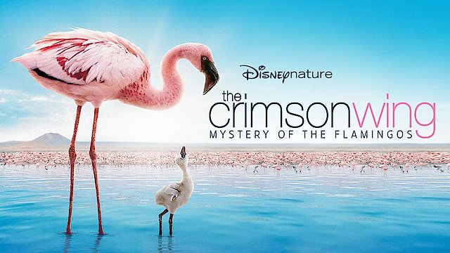 Watch The Crimson Wing: Mystery of the Flamingos Online