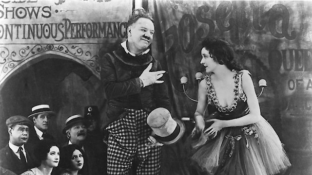 Watch Sally of the Sawdust Online