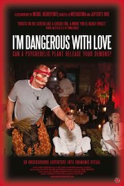 I'm Dangerous With Love poster