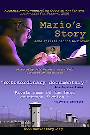 Mario's Story poster
