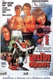 King Boxer poster