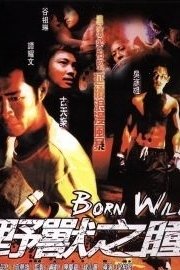 Born Wild poster