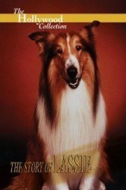 Hollywood Collection: The Story of Lassie poster