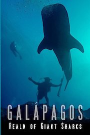 Galapagos: Realm of Giant Sharks poster