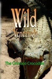 Wild Venezuela - The Orinoco Crocodile poster