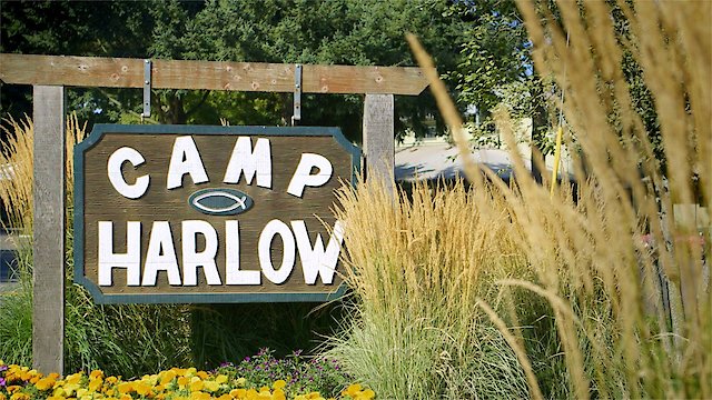 Watch Camp Harlow Online