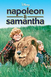 Napoleon and Samantha poster