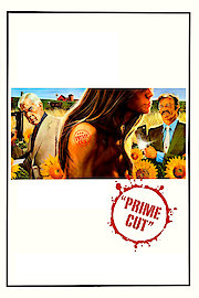 Prime Cut