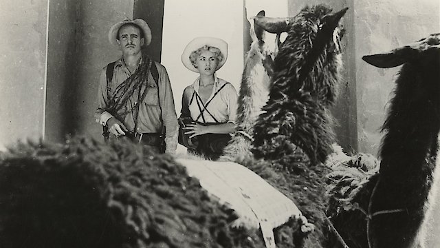 Watch Daughter Of The Sun God Online