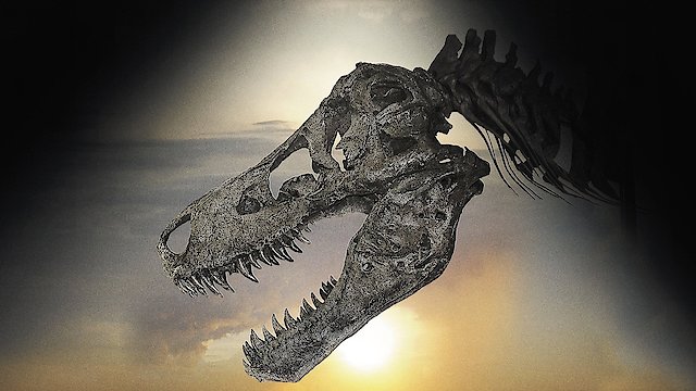 Watch Dinosaur 13 Online