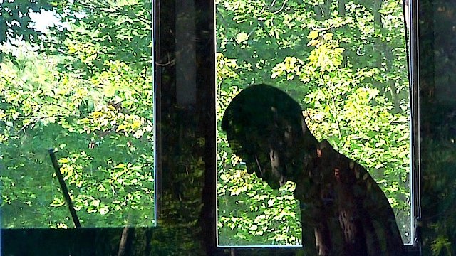 Watch A Will For The Woods Online