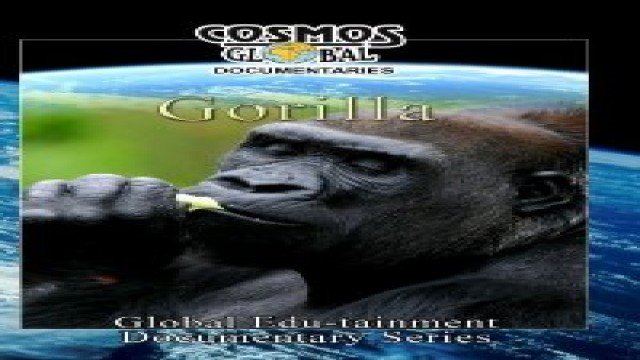 Watch Cosmos Global Documentaries GORILLA Online