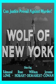 Wolf Of New York poster