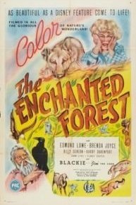 The Enchanted Forest