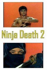 Ninja Death II poster