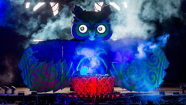 Watch Under the Electric Sky: EDC 2013 Online