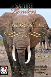 Nature Wonders AMBOSELI Kenya poster