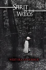 Spirit in the Woods
