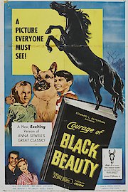 Courage of Black Beauty poster