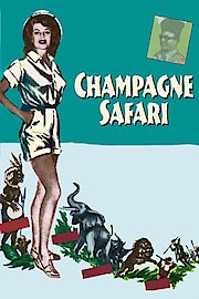 Champagne Safari poster