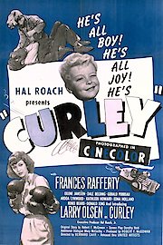 Curley